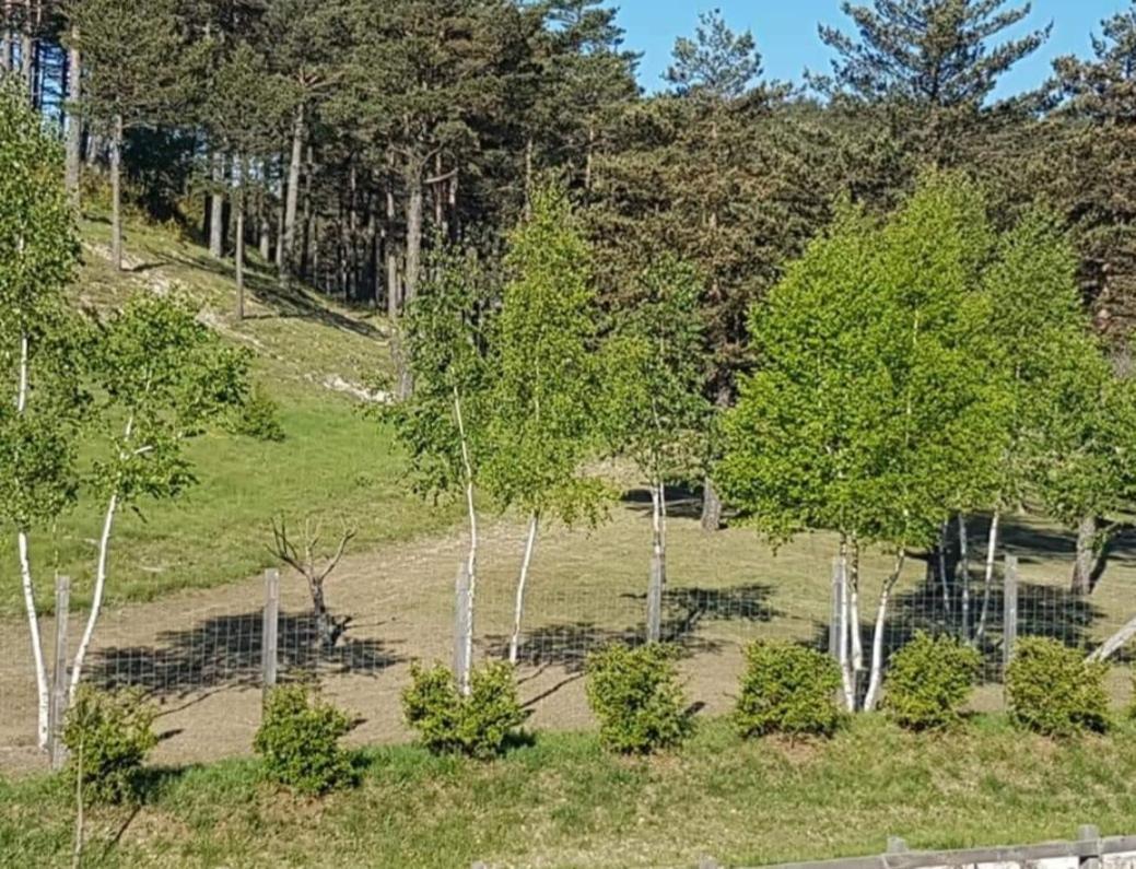 Hotel Domaine De L'Auspeliere Greolieres Exteriér fotografie